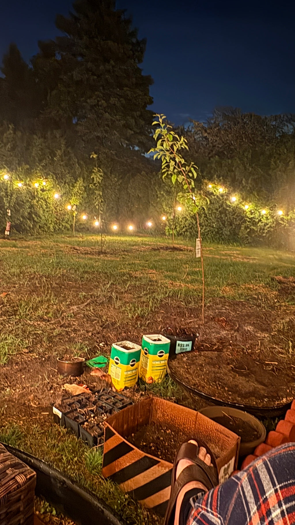 Added cozy lights in front & back