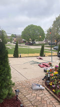 Plant trees by driveway