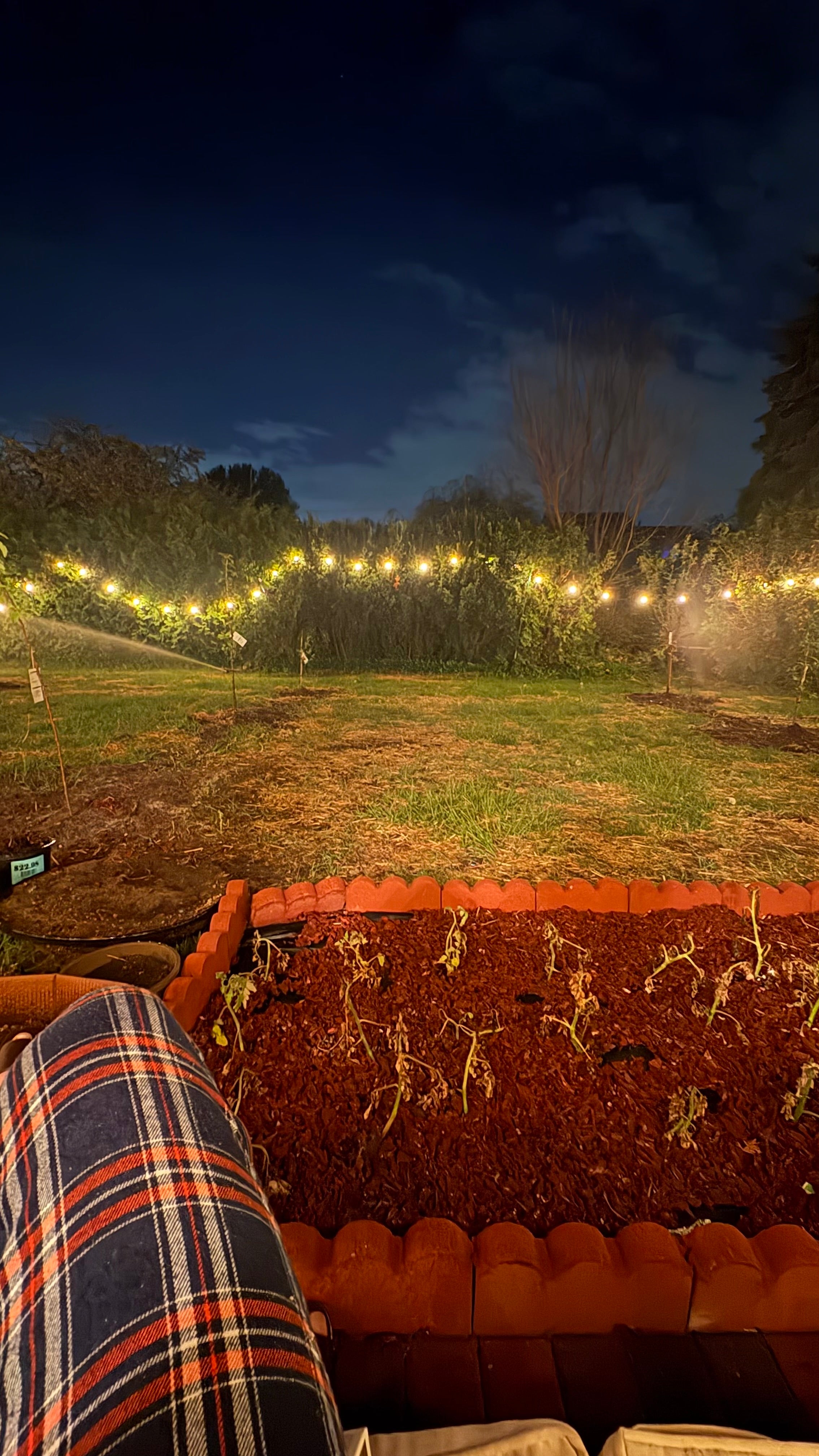 Added cozy lights in front & back