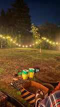 Planting Trees